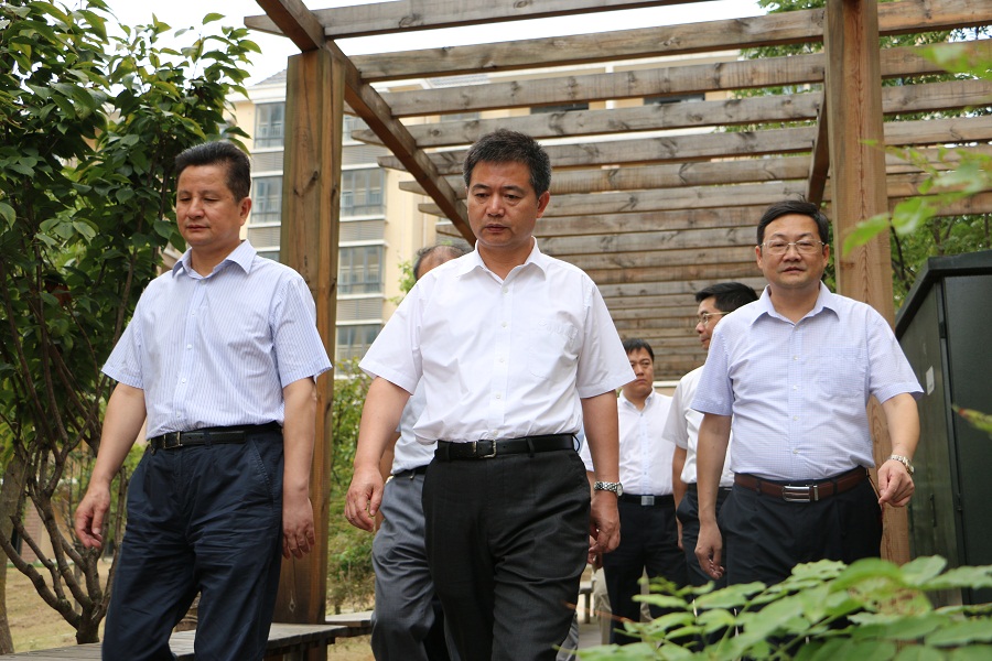 丹桂飄香慶國慶，市委領(lǐng)導(dǎo)忙調(diào)研