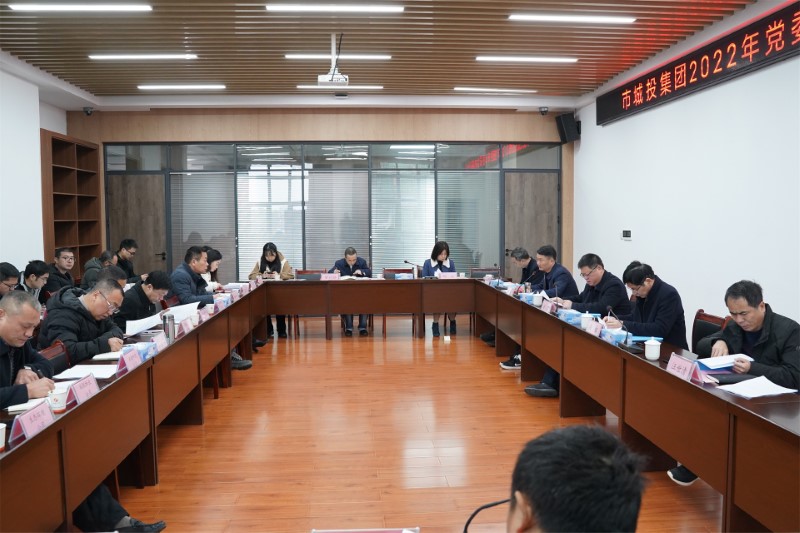 市城投集團(tuán)召開(kāi)黨委審計(jì)委員會(huì)內(nèi)部審計(jì)會(huì)